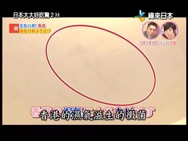 因为父亲一句“将来是中国的时代”，日本妹子学中文还嫁给了中国丈夫