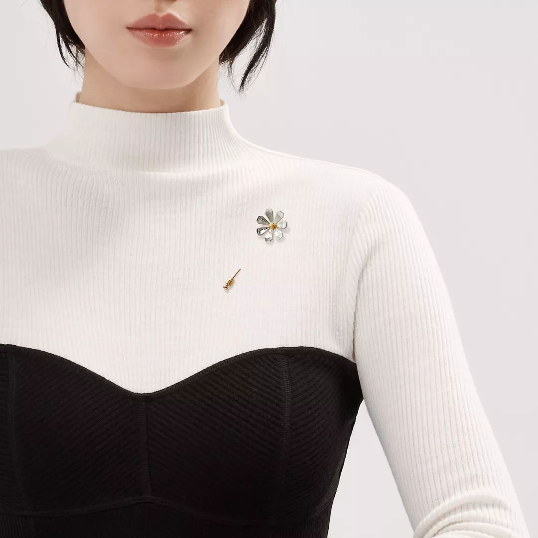 权志龙喜欢的雏菊是什么雏菊,权志龙的小雏菊为什么少一半