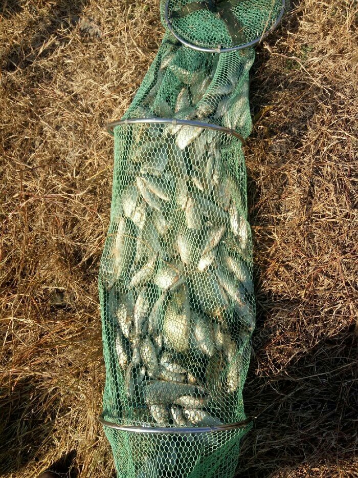 野钓入门装备清单大全,野钓买什么装备才算合格的钓友