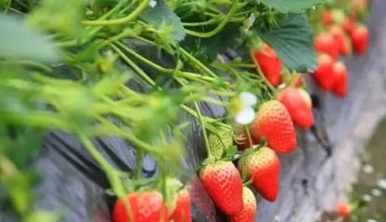 宁波冬天不太冷,宁波冬天冷怎么过