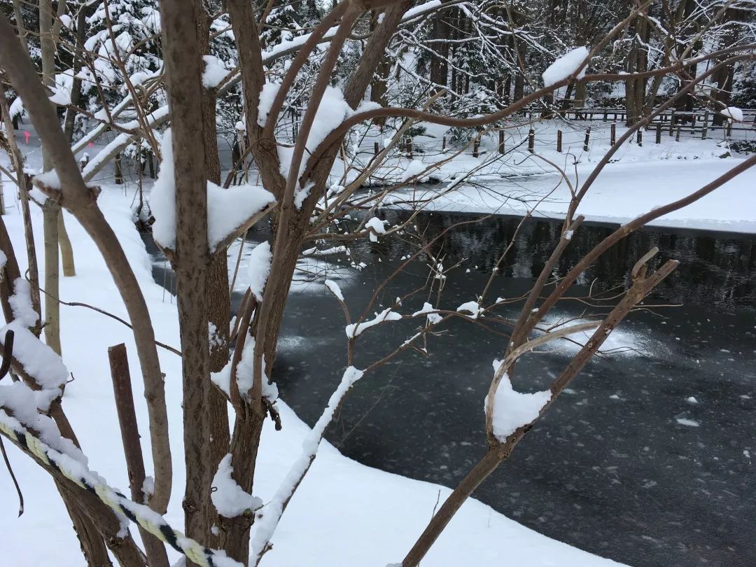游记雪野湖作文,北海道游记