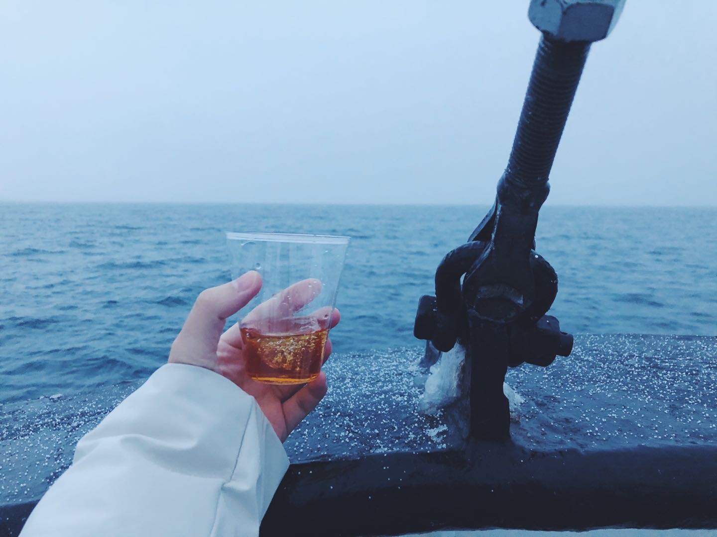 斗鱼直播河北,斗鱼直播北极