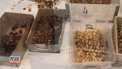 切出40000块面包丁玩拼图，无聊吃货的最高境界？