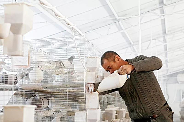 街道乡村振兴工作总结,守初心担使命助力乡村振兴范文