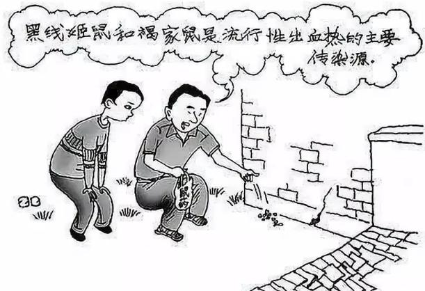 隆德人:流行性出血热防治知识,一定要知道