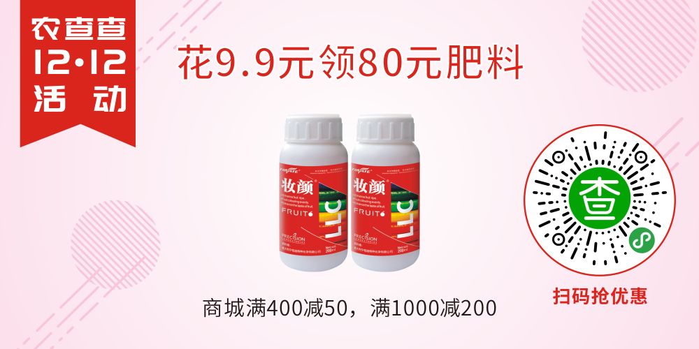 双十二惊喜来袭,双十二惊喜直降