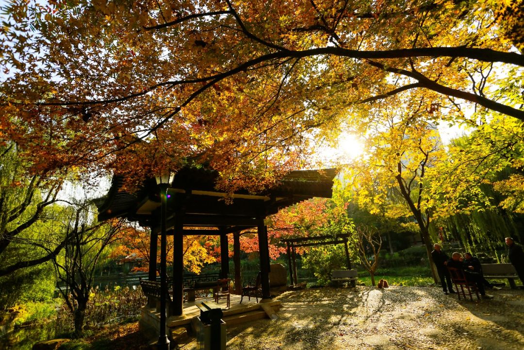 义乌十大网红打卡地,义乌网红打卡小镇