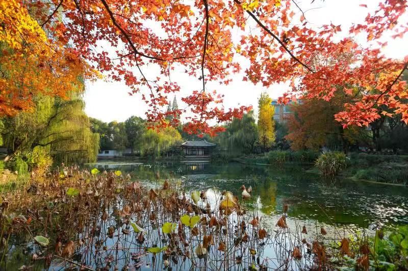 义乌最美的风景区是哪,义乌佛堂网红打卡地