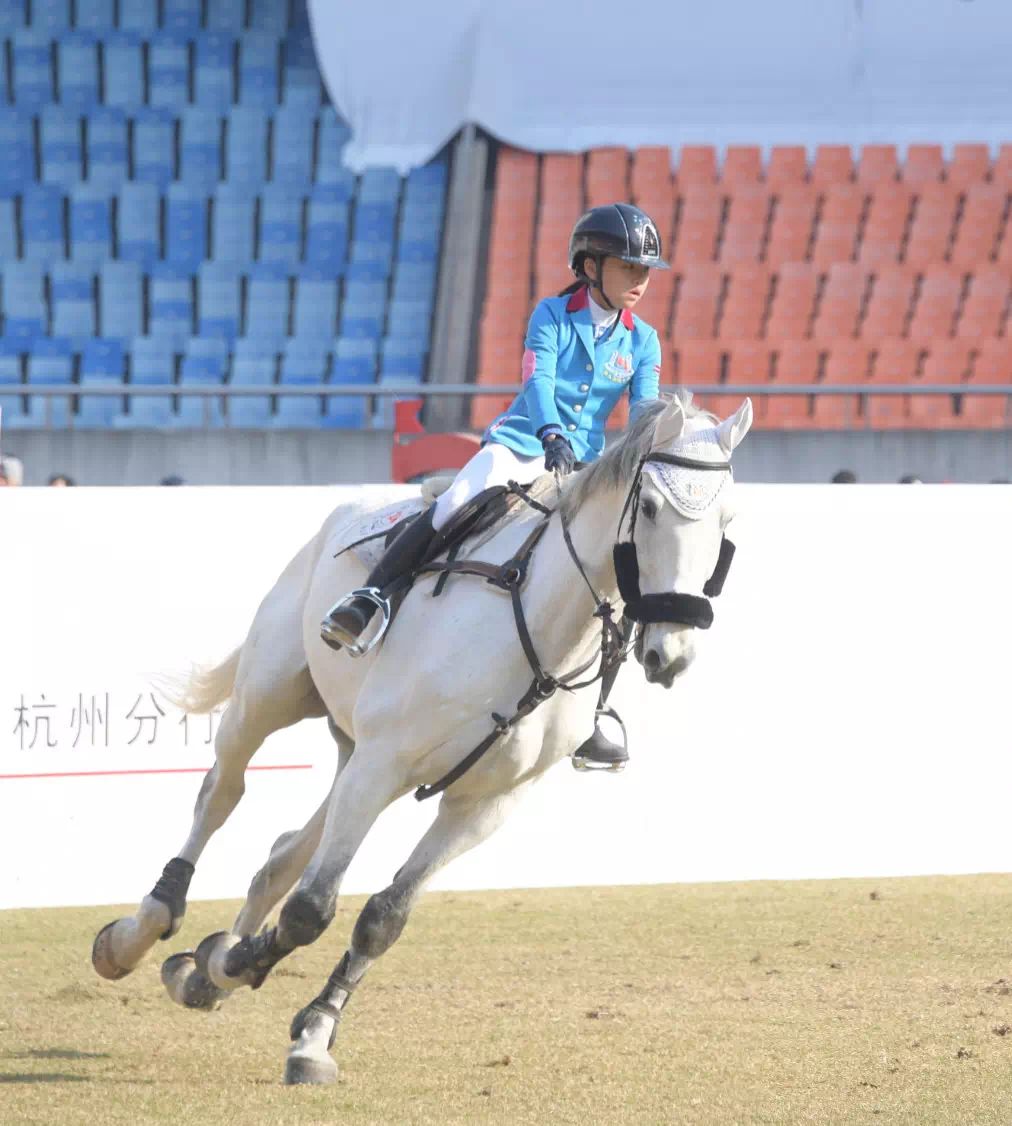 周周赛事周周精彩浙江体彩和你“品一品”马术