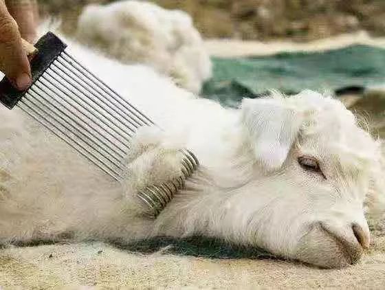 冬日保暖穿搭神器,提升穿搭氛围感的秋冬围巾推荐