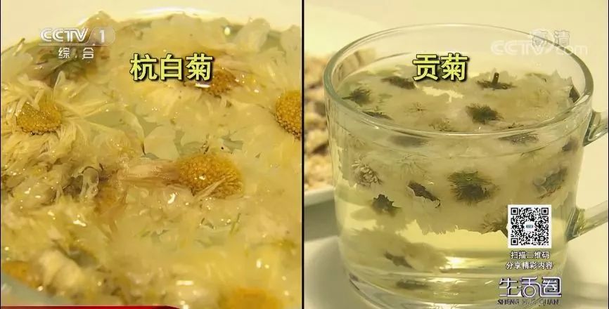 哪种菊花茶清热去火效果最好,什么品种的菊花茶清热去火效果好