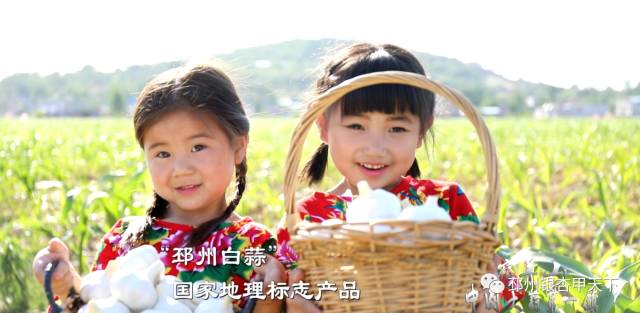 邳州大蒜获地理标志保护,邳州大蒜获得欧盟地理标志保护