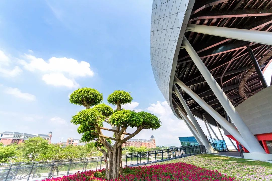 大写的牛！肇庆新区体育中心喜获“国优”工程荣誉