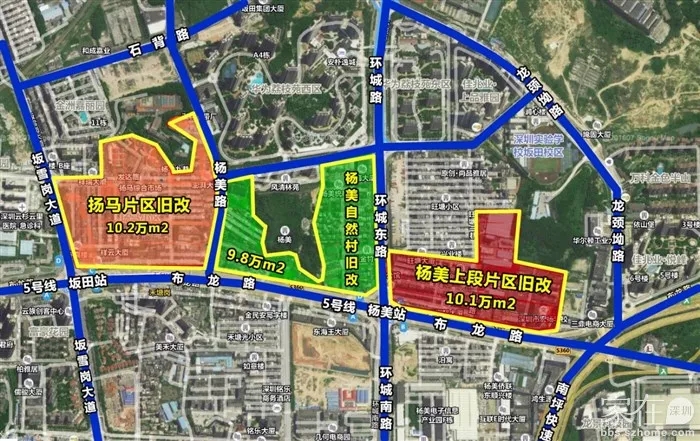 坂田又有大动作！杨美第三大巨无霸旧改诞生