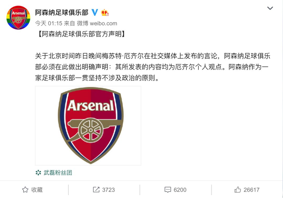 厄齐尔不当言论最新报道,厄齐尔德国言论