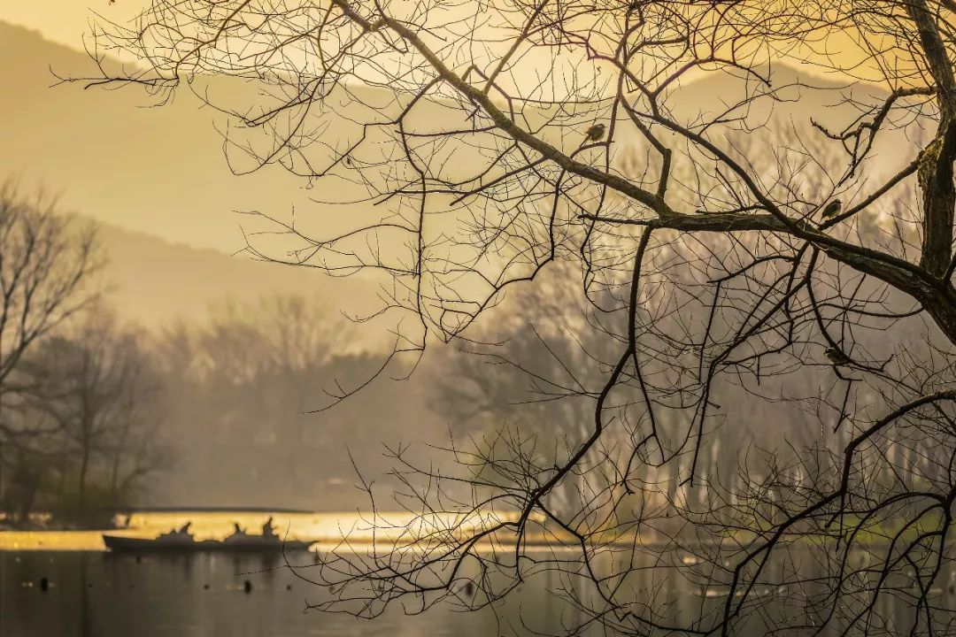 夜话丨愿烟火人间，安得太平美满