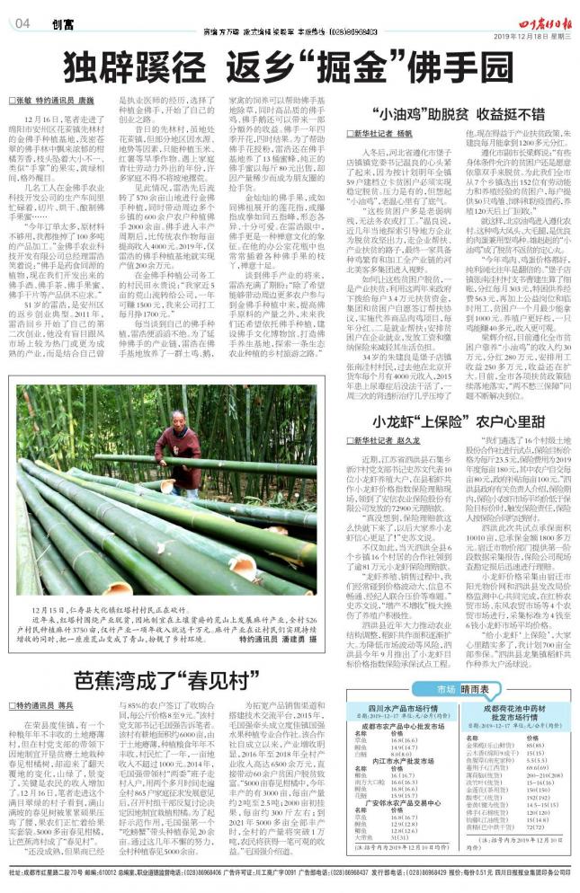 独辟蹊径走出去,独辟蹊径游览