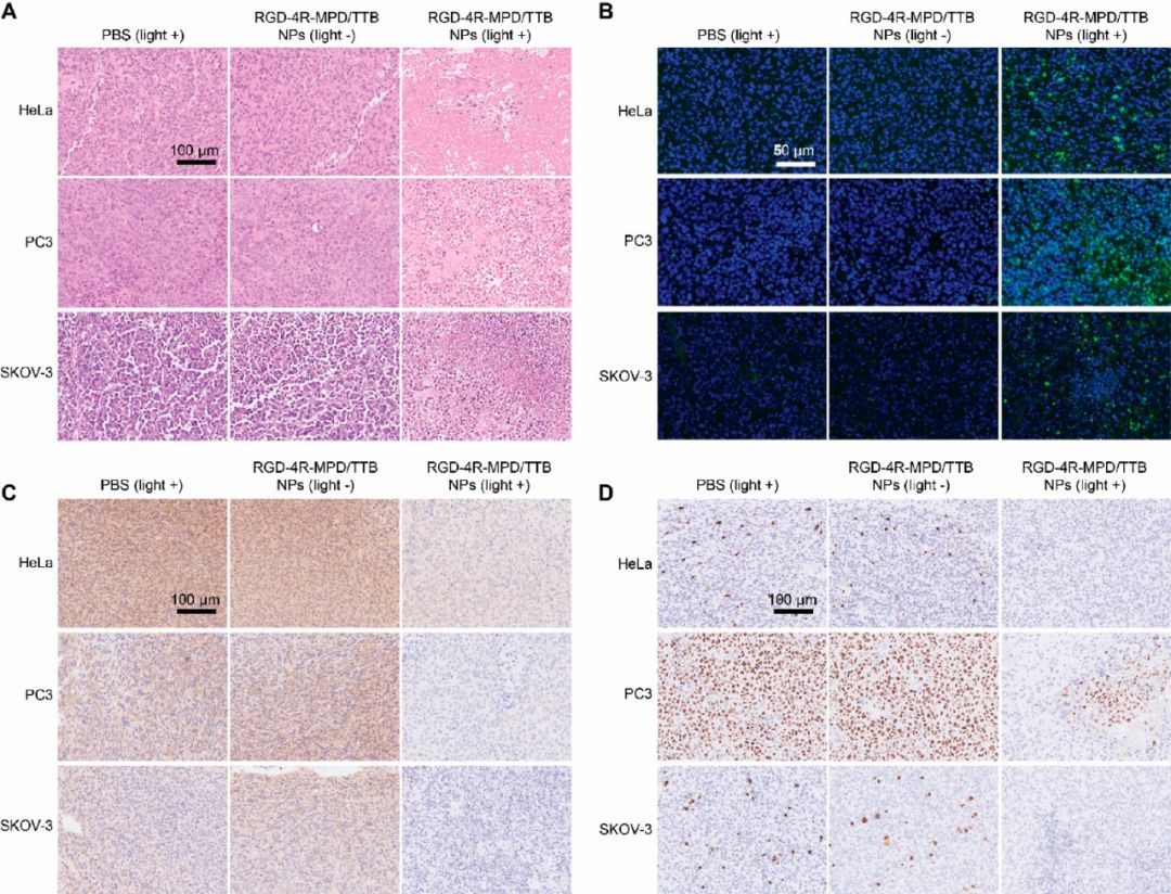ACSAppliedNanoMaterials影响因子,acsnano好投吗