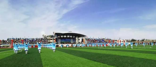 2020年全国中国式摔跤竞赛,2019年河南省中国式摔跤