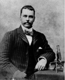 是她是她就是她英文,是她是她就是她日语