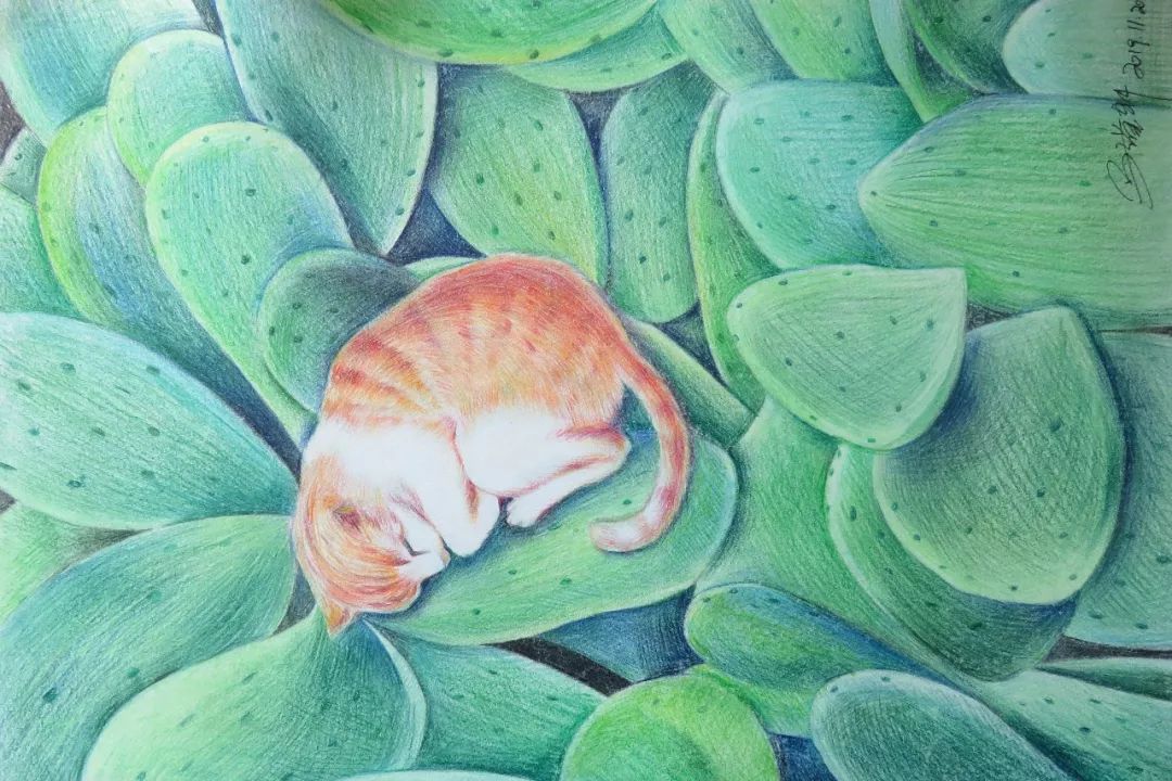 半亩塘丨兰州市校园风采展示——榆中县清水学校