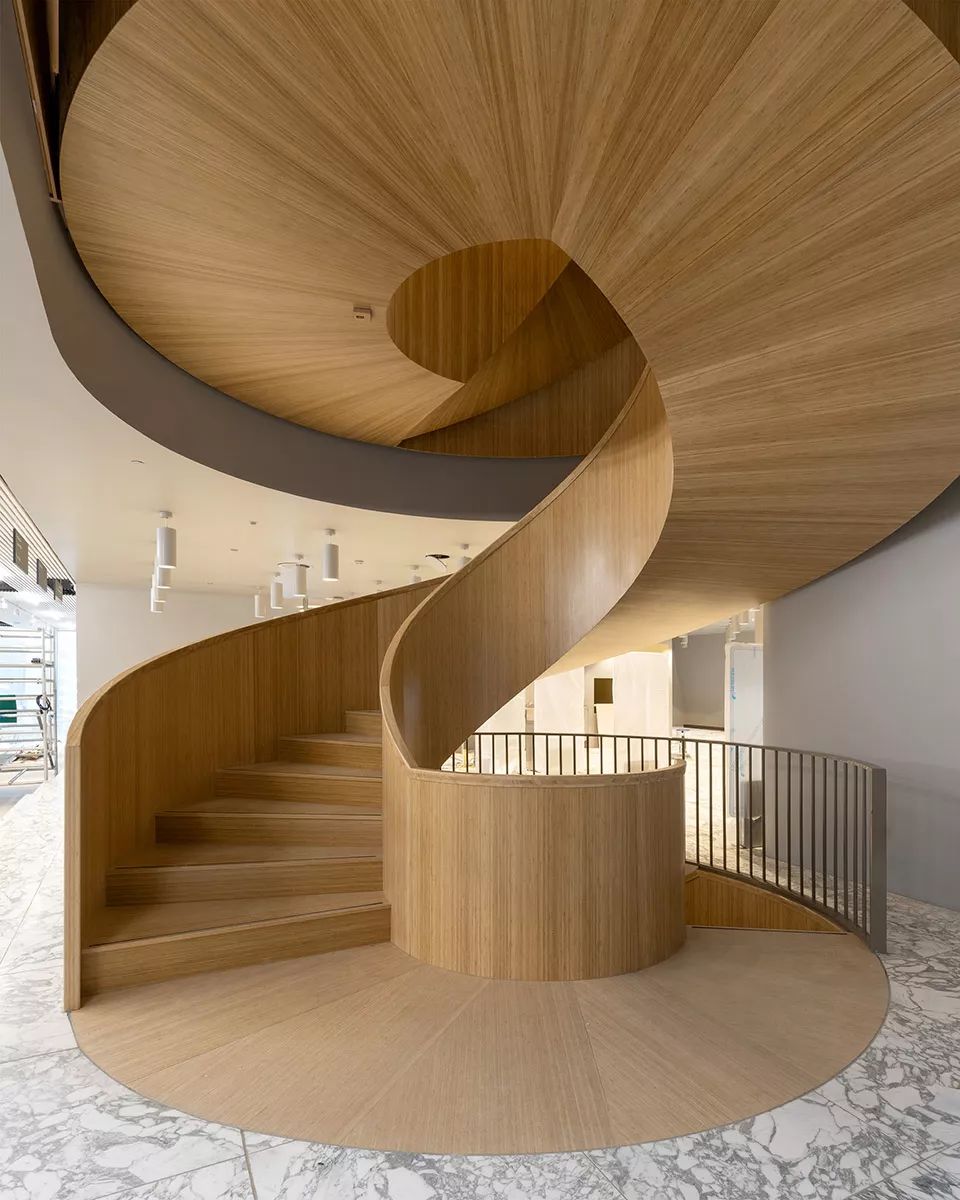 鏍肩綏瀹佹牴,鏍肩綏瀹佹牴forum