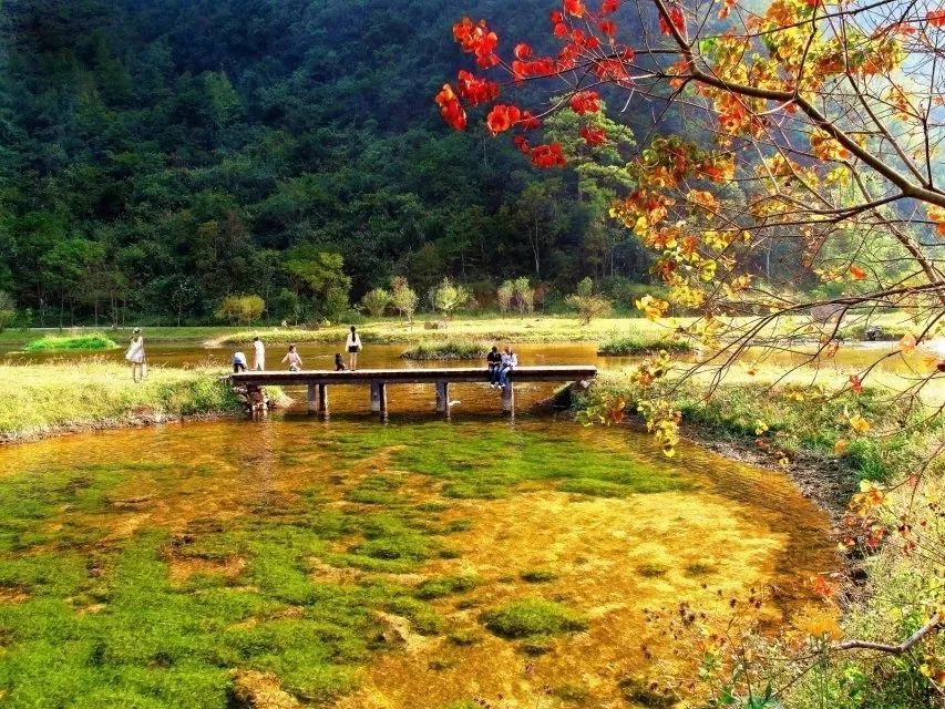 荔波好山好水好地方,荔波风景美如画