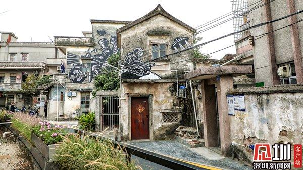 宝安区第十一届沙井金蚝节,2015年深圳沙井金蚝节