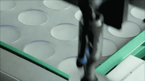 网络视频都是摆拍的吗,视频都是故意摆拍的吗