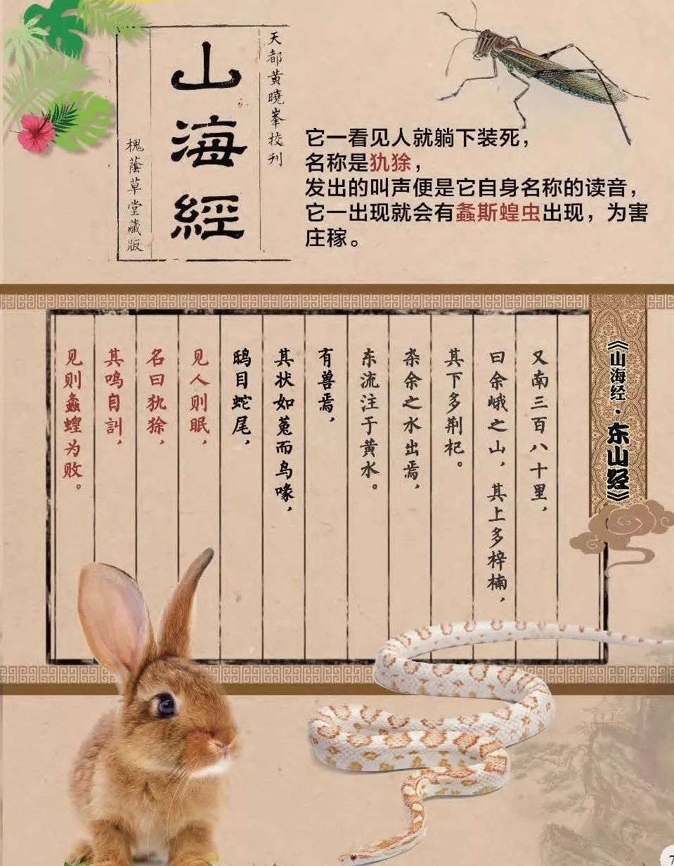 世界杯吉祥物福来哥超轻粘土,巴西世界杯吉祥物