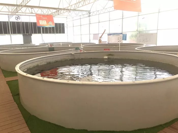 循环水养殖怎么快速建立硝化细菌,最强循环水养殖物理过滤方案