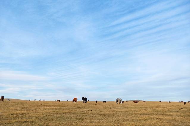 自驾呼伦贝尔草原公路,呼伦贝尔草原自驾公路