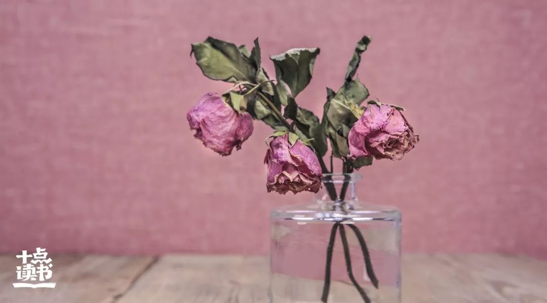 无所畏惧活出自我原文,要活出无所畏惧的人生