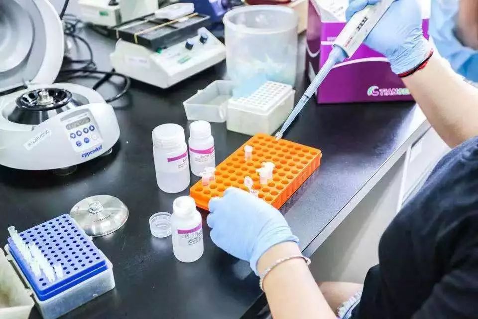 你用一周刷完《庆余年》,学霸却用10天拿下名校:沃顿哥大顶尖活动来袭