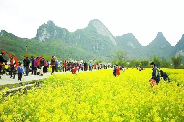 2020骞翠綑棰濆凡涓嶈冻,2019骞村凡浣欓涓嶈冻