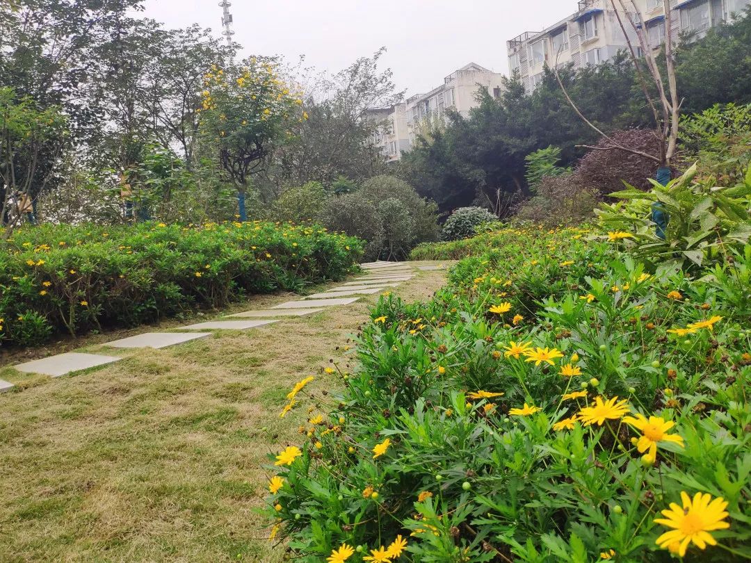 打造特色标杆园区的情况报告,片区改造最新信息