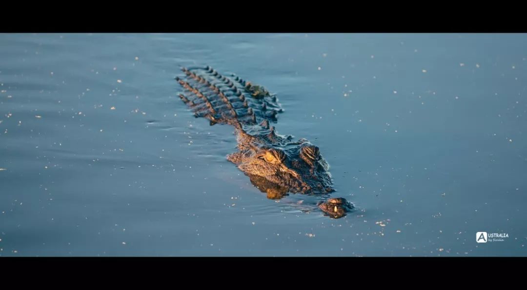 澳洲必去的几个地方,澳大利亚哪些景点值得去