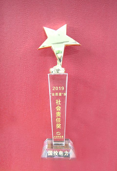 奖奖奖奖奖！年终收获季，国投获卓越责任企业等一波大奖