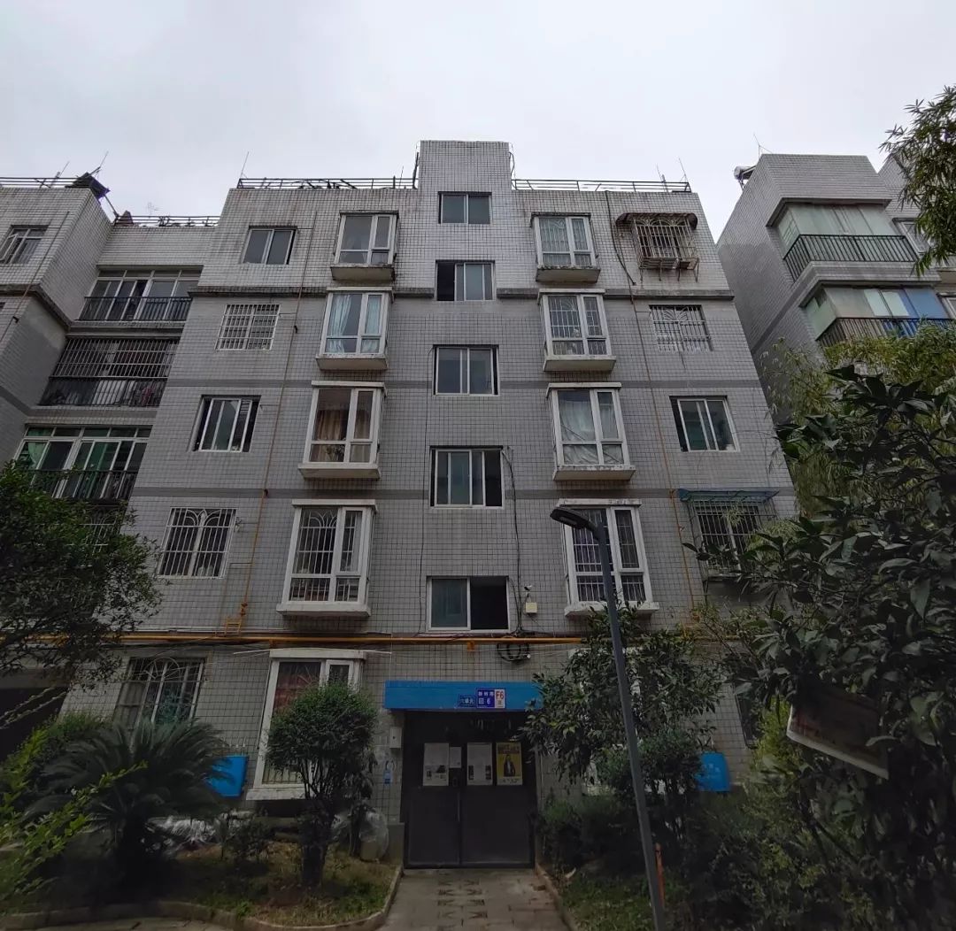 网络问政|小区屋顶建场养烈性犬，乌当区创新派出所：限7日内处理