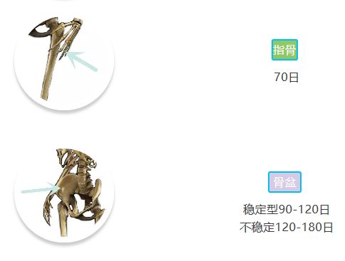 「骨科康复」骨折愈合分期和愈合时间