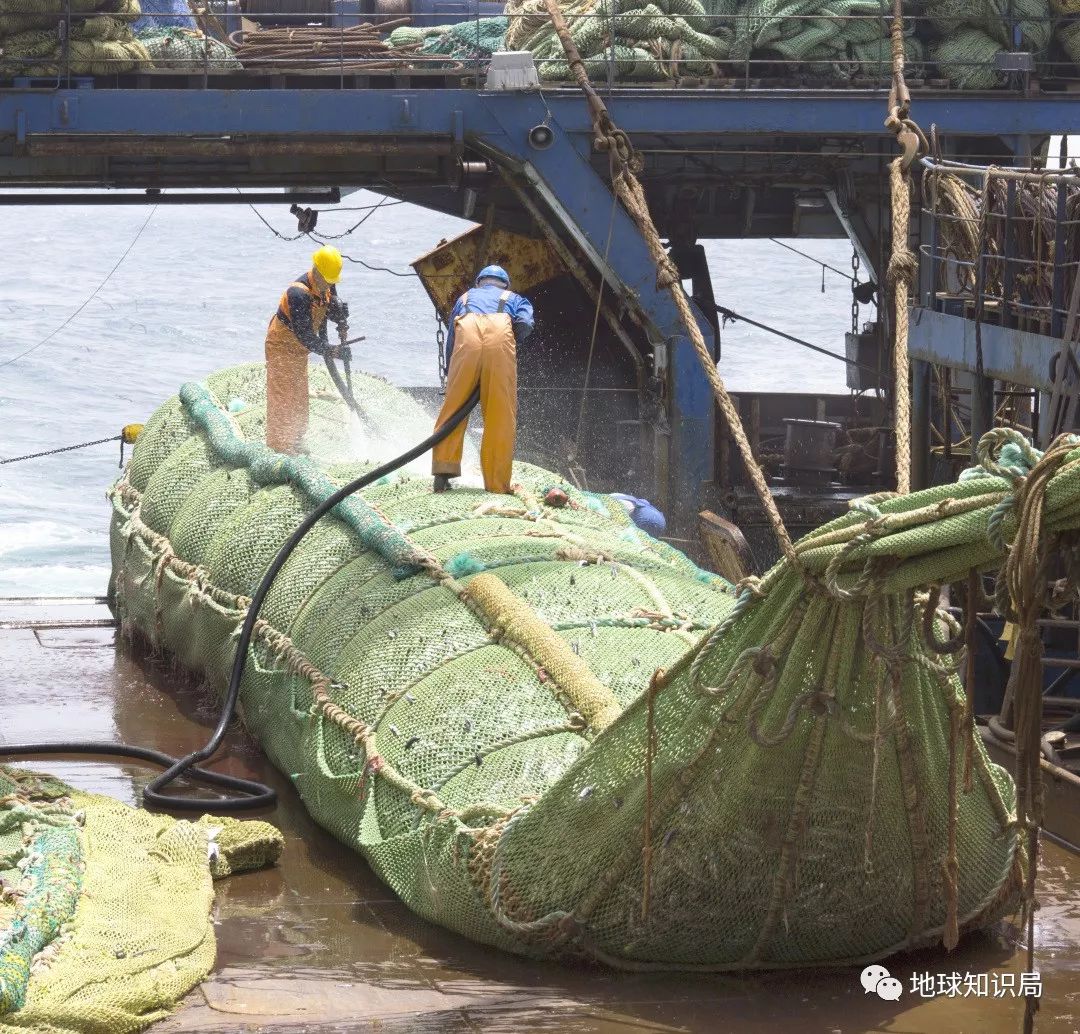 沿海人民是如何喂饱中国的？