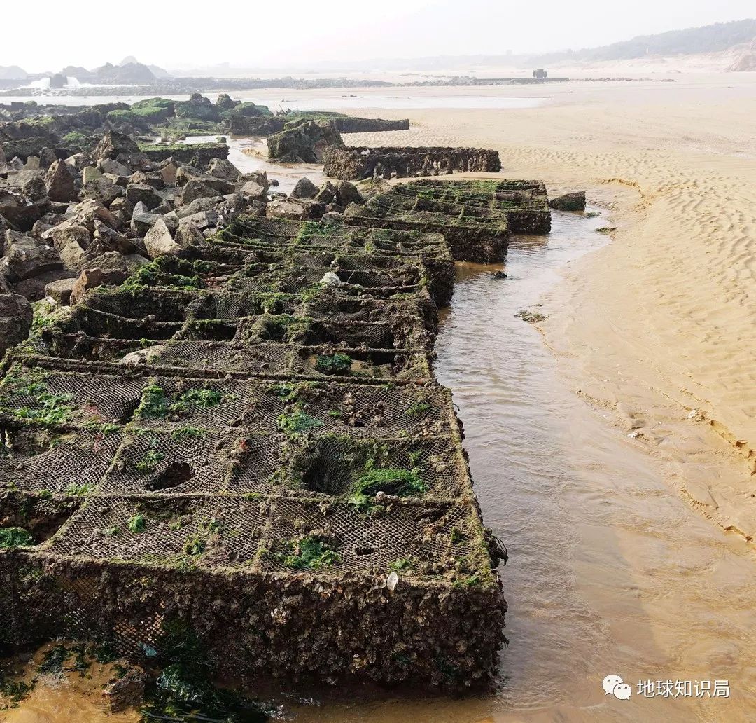 沿海人民是如何喂饱中国的？