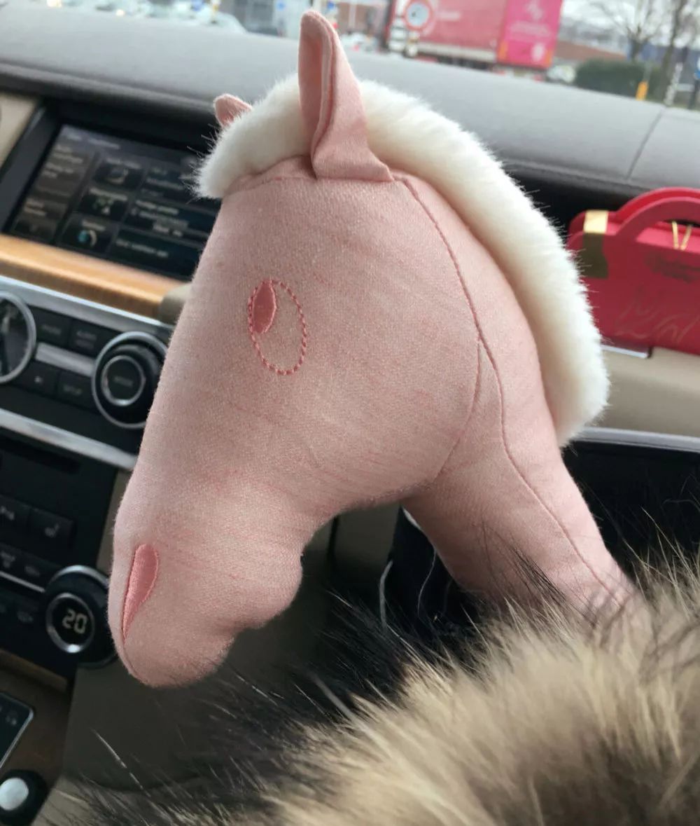 贵妇买包包,贵妇开箱爱马仕