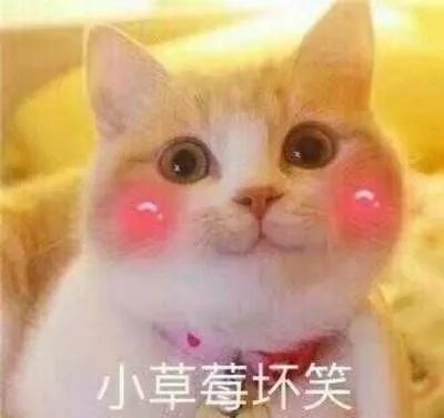 原力区带你回望2019Filecoin十件事