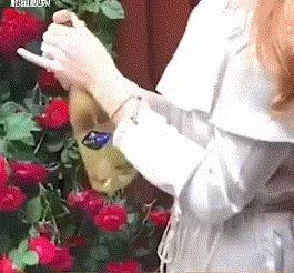 第一次结婚累不累,第一次结婚心里好激动