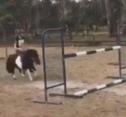 第一次结婚累不累,第一次结婚心里好激动