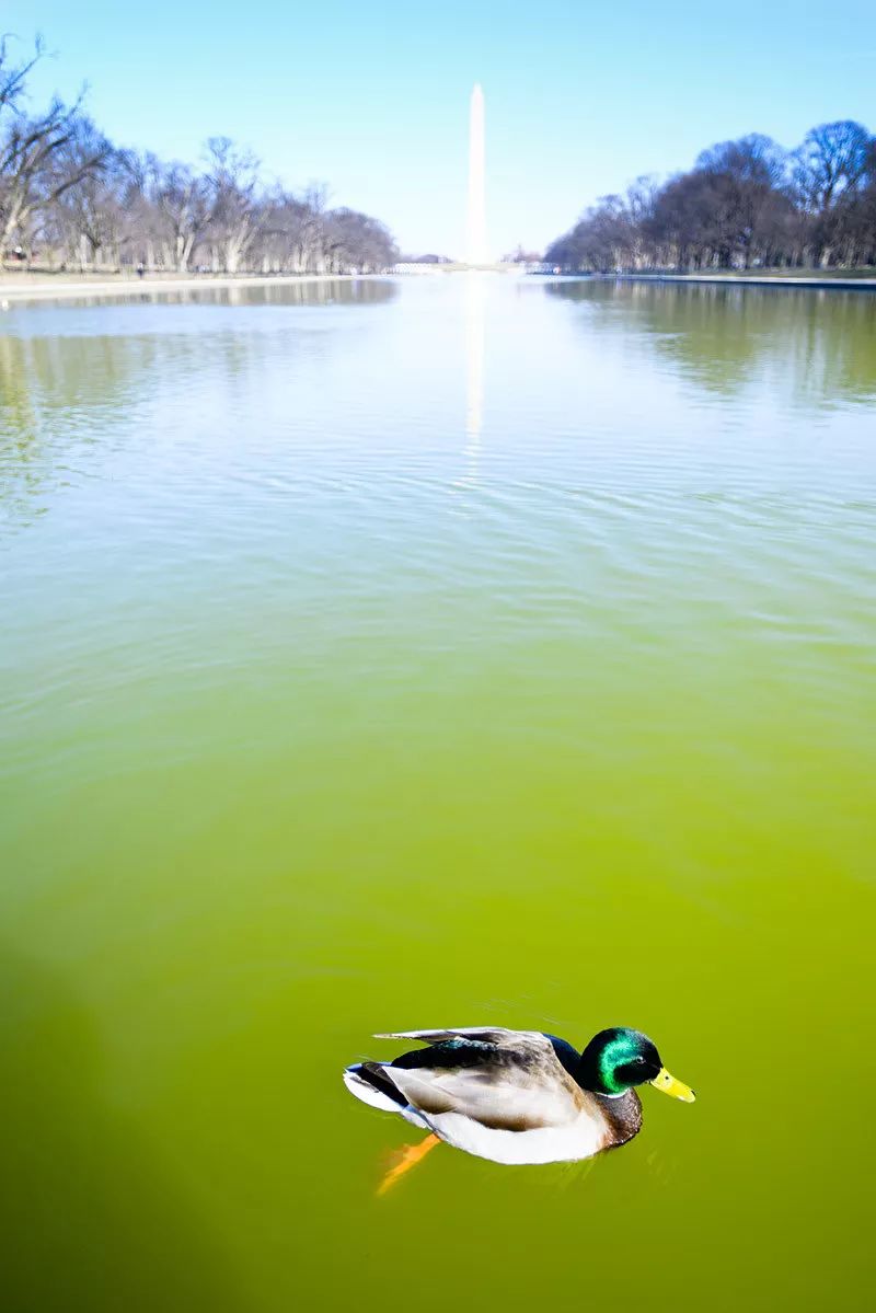 天涯咫尺，如见故人|2019小林摄影总结