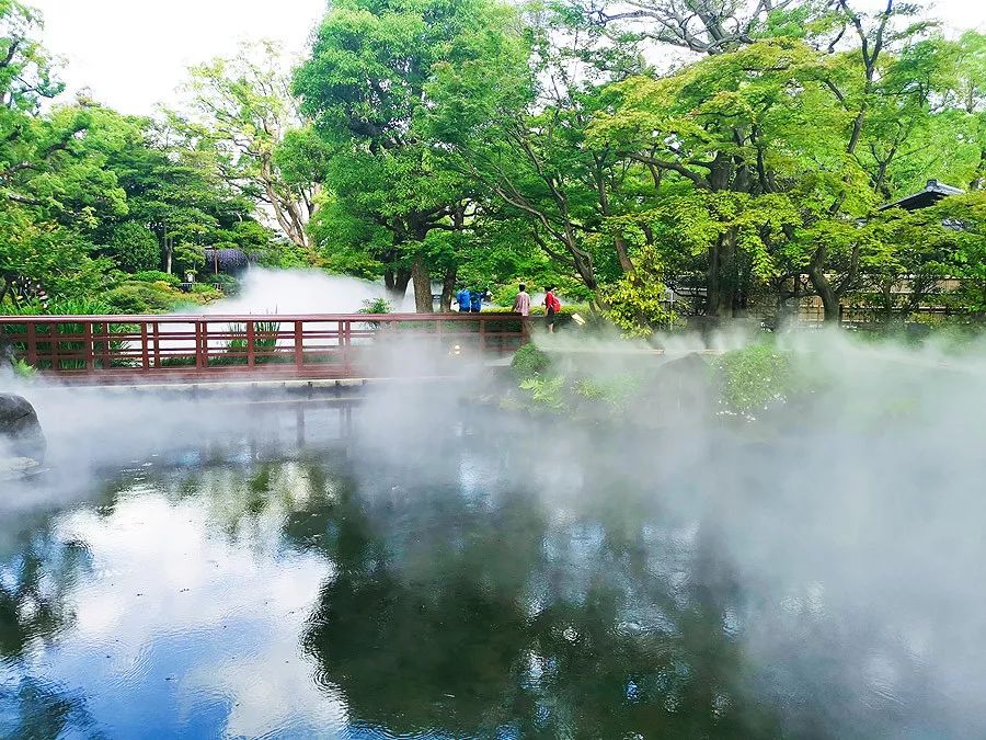 天涯咫尺，如见故人|2019小林摄影总结