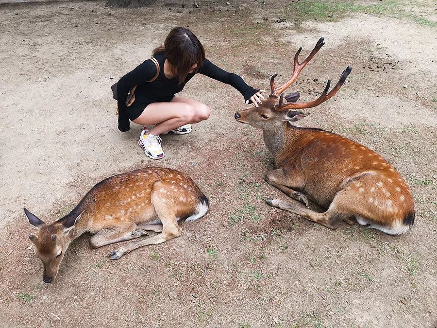 天涯咫尺，如见故人|2019小林摄影总结