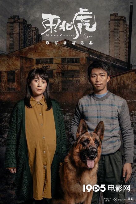 十大2020必看华语电影,2020年10大必看华语电影